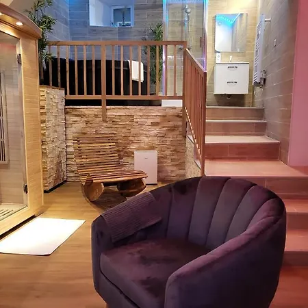 Le De La Cathedrale - Jacuzzi - Sauna - Champagne - Netflix - Wifi * Troyes