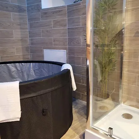 Le De La Cathedrale - Jacuzzi - Sauna - Champagne - Netflix - Wifi Apartment *