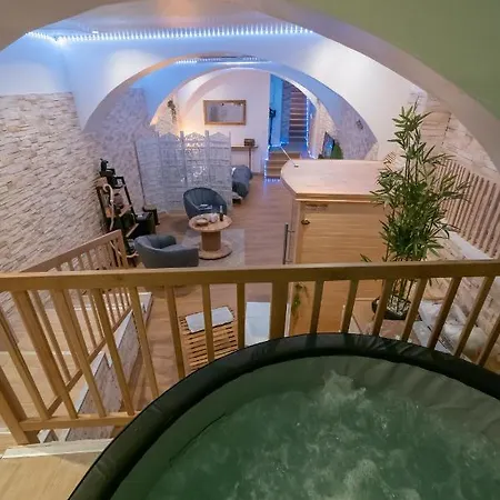 Le De La Cathedrale - Jacuzzi - Sauna - Champagne - Netflix - Wifi Troyes