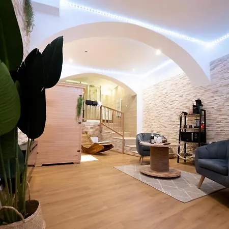 Le De La Cathedrale - Jacuzzi - Sauna - Champagne - Netflix - Wifi *